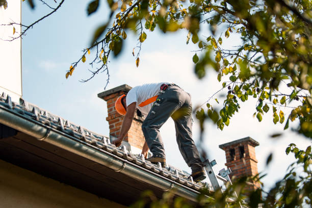 Best Storm Damage Roof Repair  in Lemont, PA