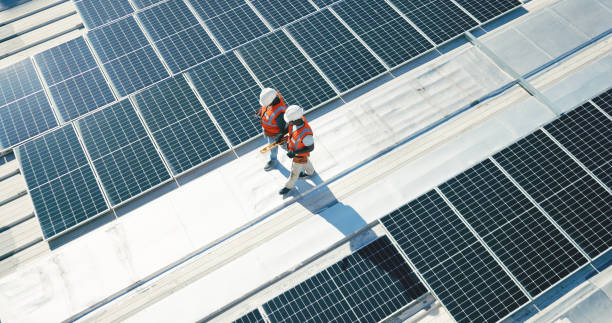 Best Roof Moss and Algae Removal  in Lemont, PA