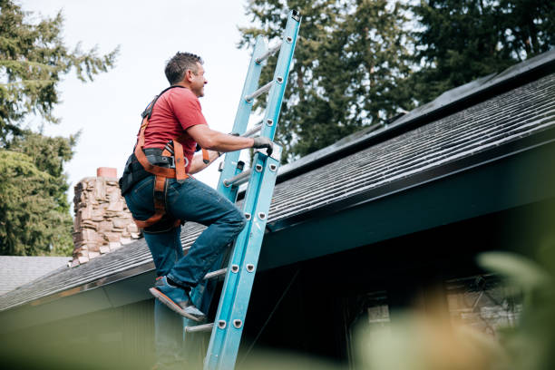 Best Gutter Replacement  in Lemont, PA